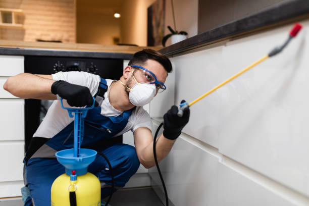 Best Pest Control Near Me in Plymouth, WI