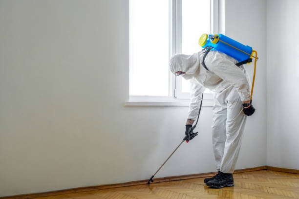 Best Affordable Pest Control Services  in Plymouth, WI