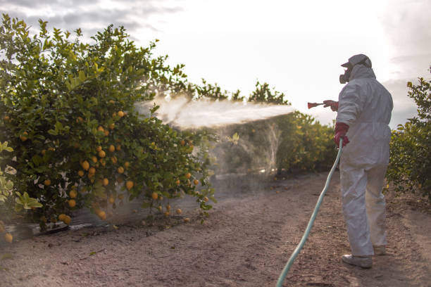 Best Commercial Pest Control Services  in Plymouth, WI