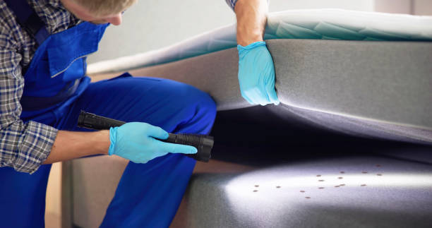  Plymouth, WI Pest Control Pros