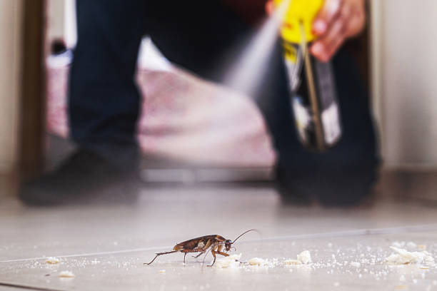 Trusted Plymouth, WI Pest Control Experts
