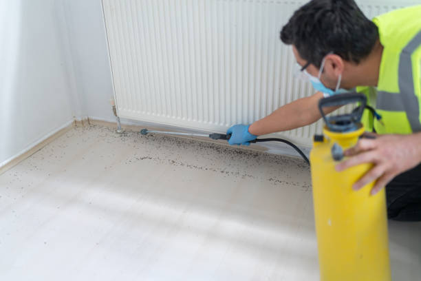 Best Pest Control Treatment  in Plymouth, WI