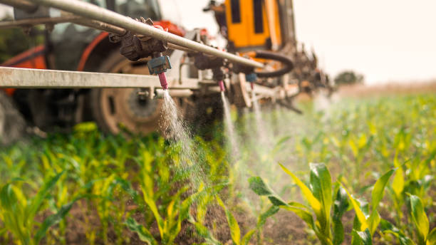 Best Best Pest Control Companies  in Plymouth, WI